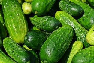 梦见分瓜吃瓜 第3张 梦见分瓜吃瓜 第3张